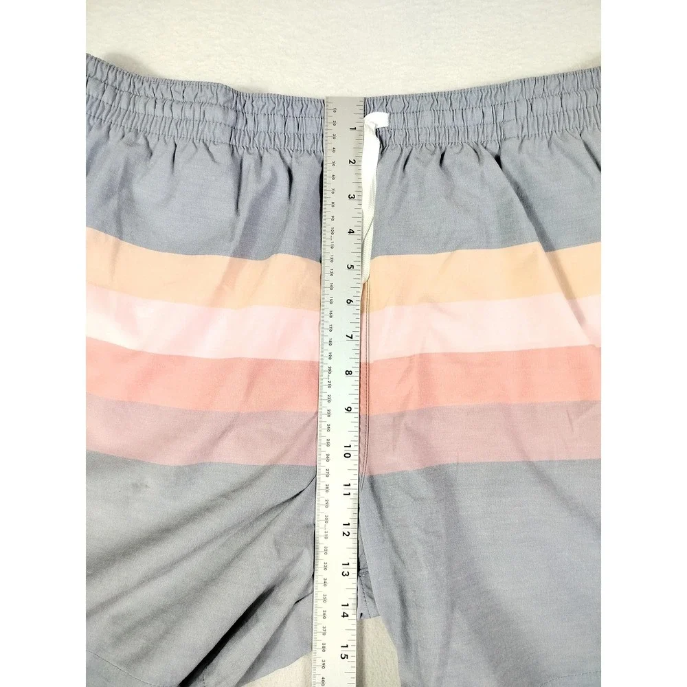 Chubbies Swim Trunks Shorts Mens 2XL Gray Pastel‎ Stripe 5.5 Inseam Drawstring